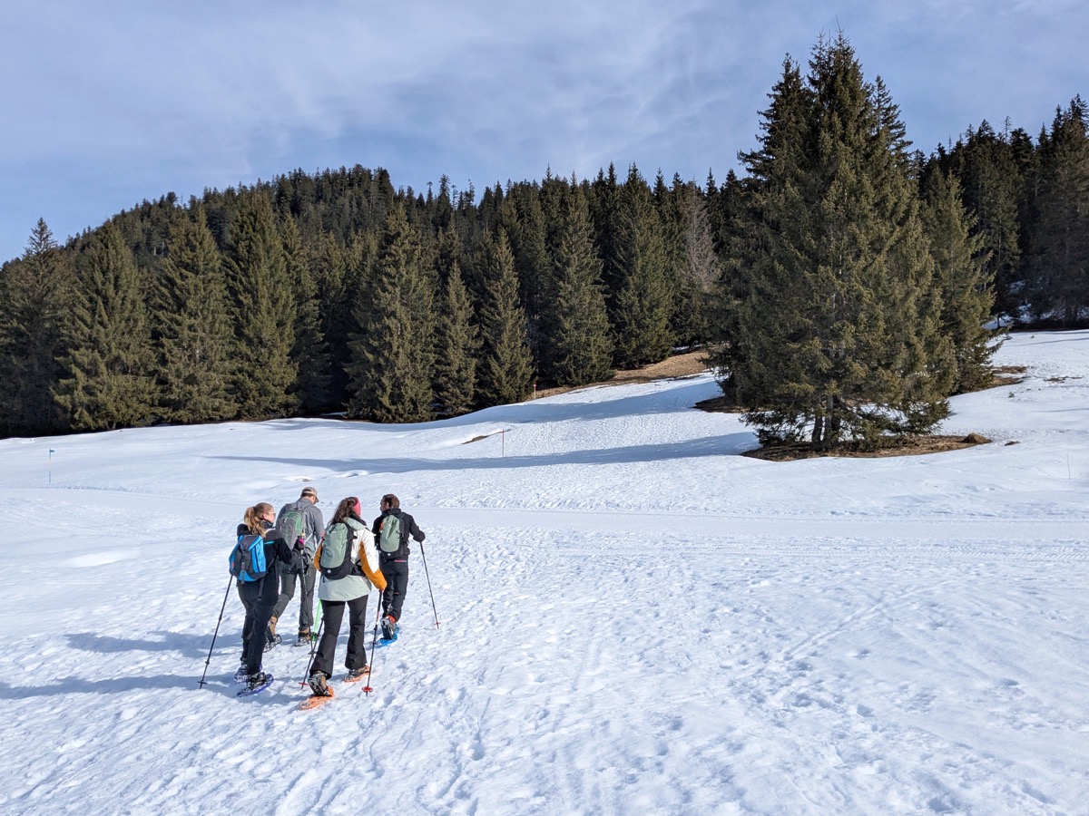 Journée OSER les raquettes avec l'association Diabète Type Sport au col des Mosses le 9 mars 2025